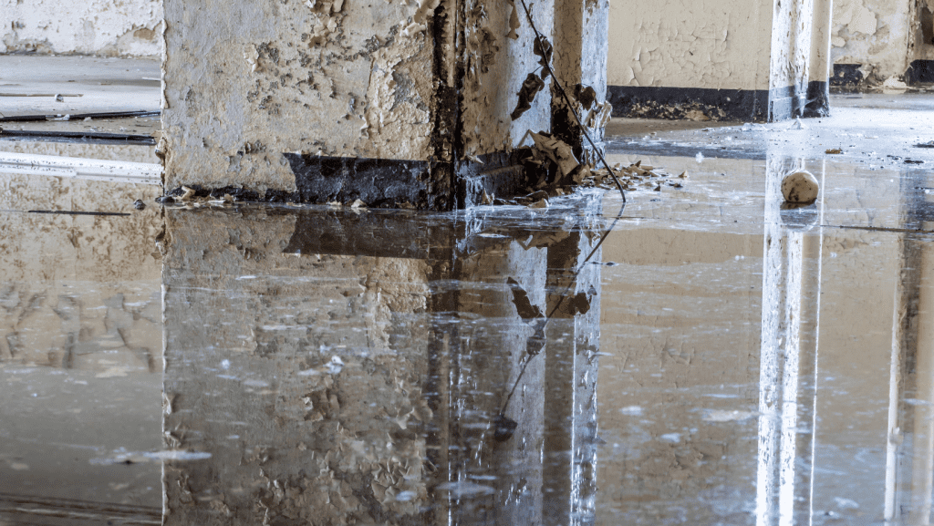 commercial water damage Long Beach CA